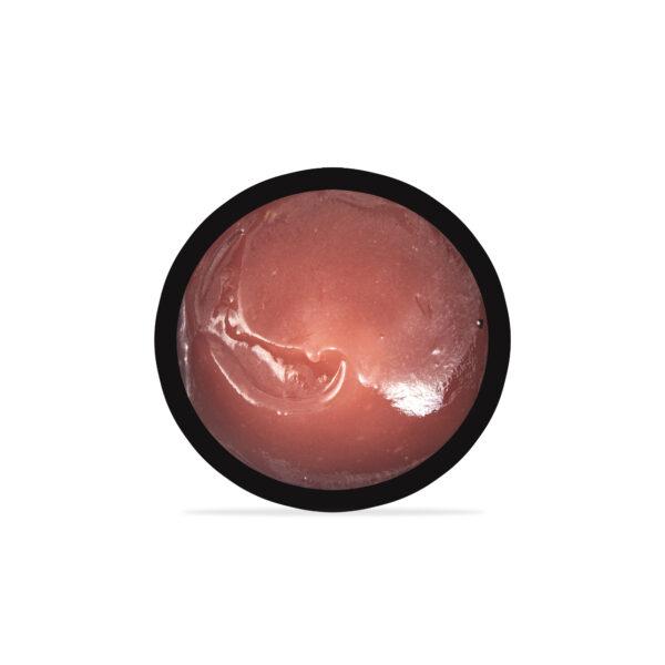 Hibiscus Conditioner - Image 2