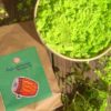 Natural Holi Colors - Image 2